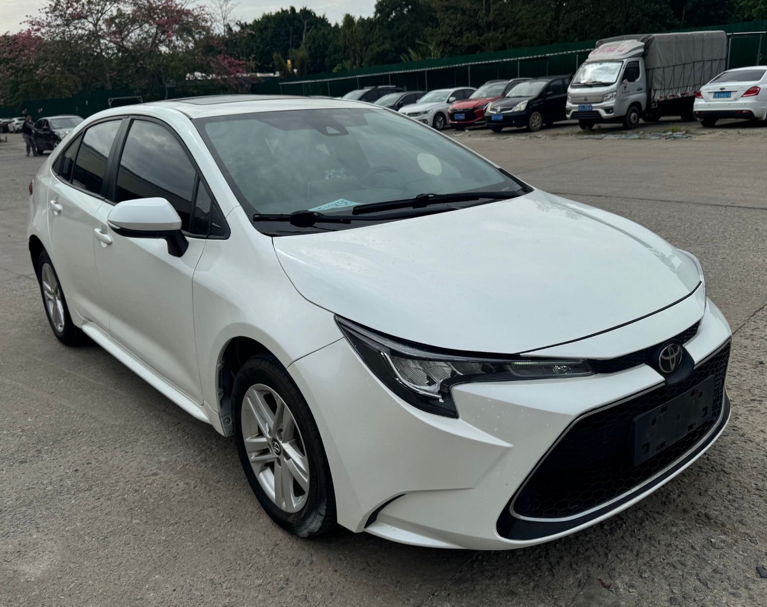 Toyota Levin